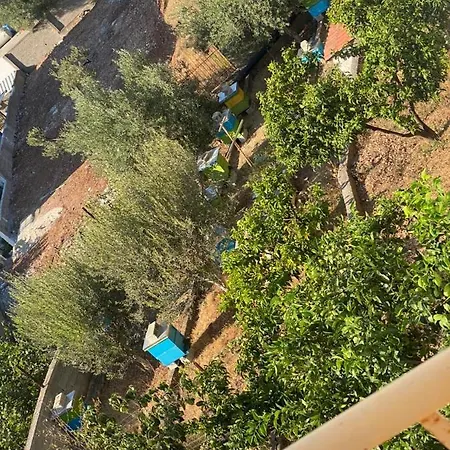 Vila Di Mare
